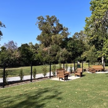 Dali’s Dog Park photo 1